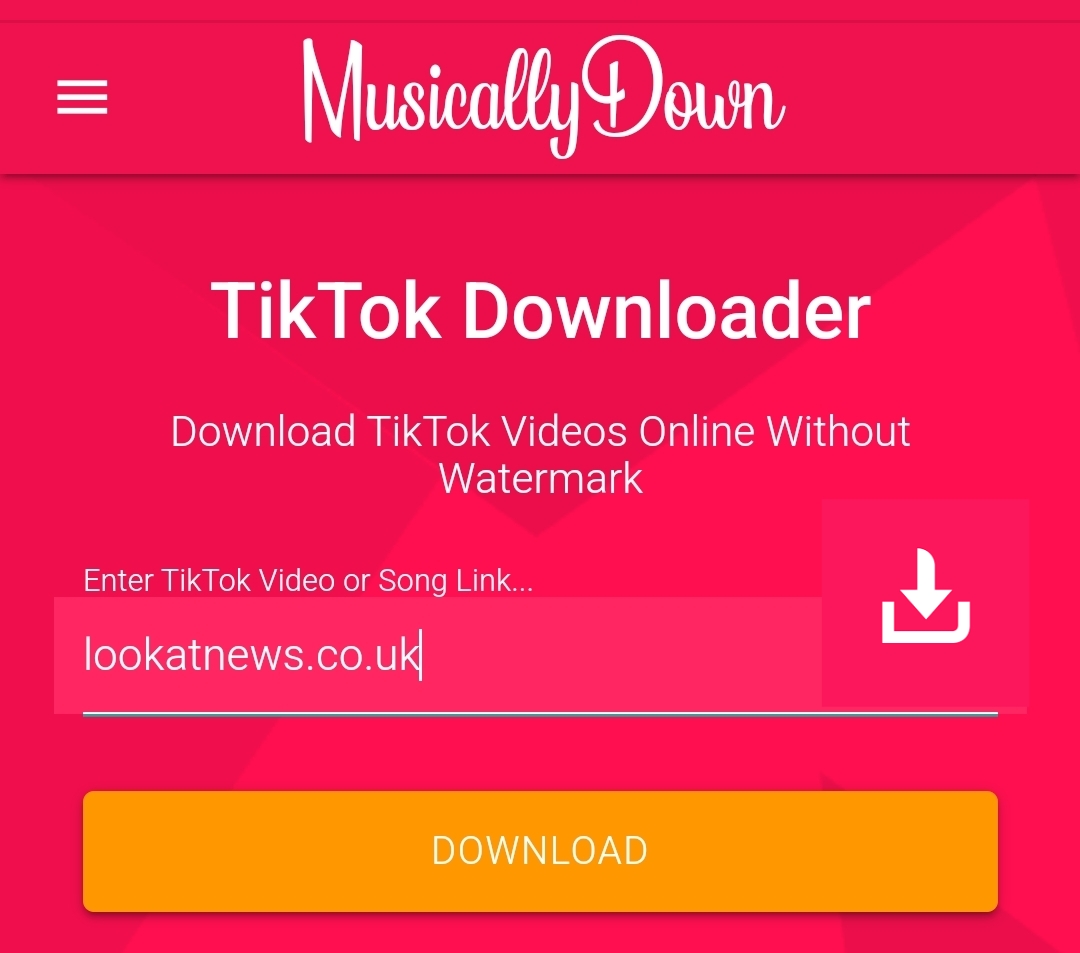 Step-by-Step Guide to Using MusicallyDown for TikTok Video Downloads